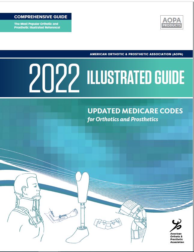 2022 Illustrated Guide Digital Download